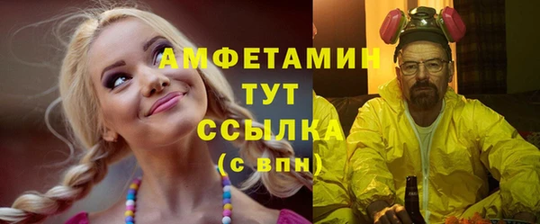 прущие грибы Дмитров