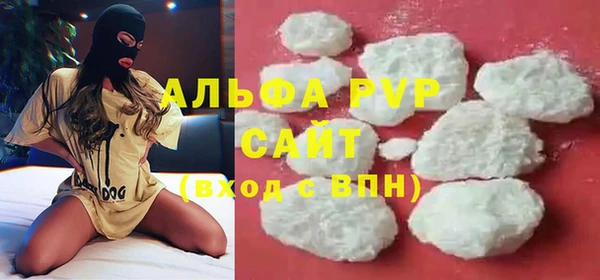 прущие грибы Дмитров