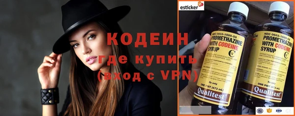 прущие грибы Дмитров