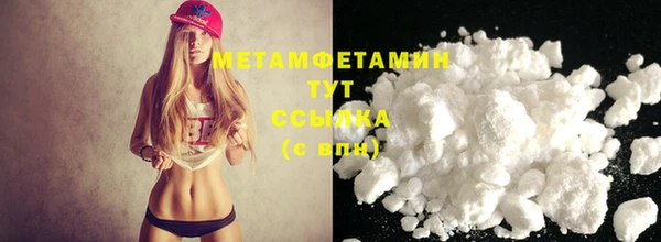 прущие грибы Дмитров
