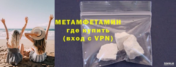 прущие грибы Дмитров