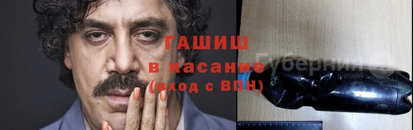 прущие грибы Дмитров