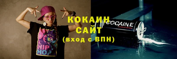 прущие грибы Дмитров