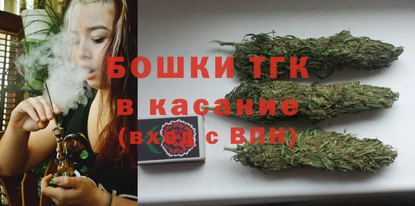 прущие грибы Дмитров