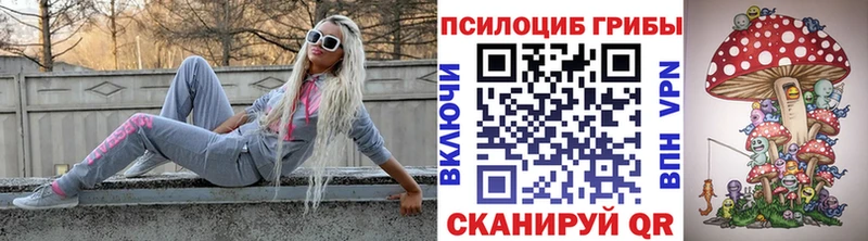 Купить закладки  Канск  Галлюциногенные грибы MAGIC MUSHROOMS 